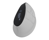 Myszka NATEC EUPHONIE PRO BEZPRZEWODOWA WERTYKALNA BT 5.0 4000DPI CICHA P NMY-2378